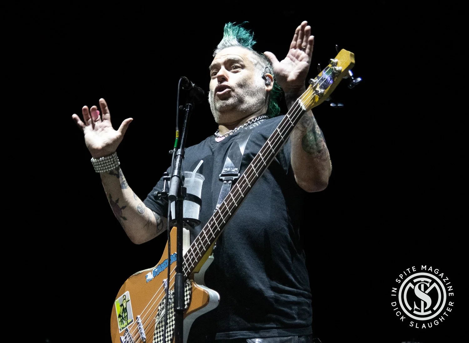 It's Fat Mike's Birthday and You Are Invited — In Spite Magazine